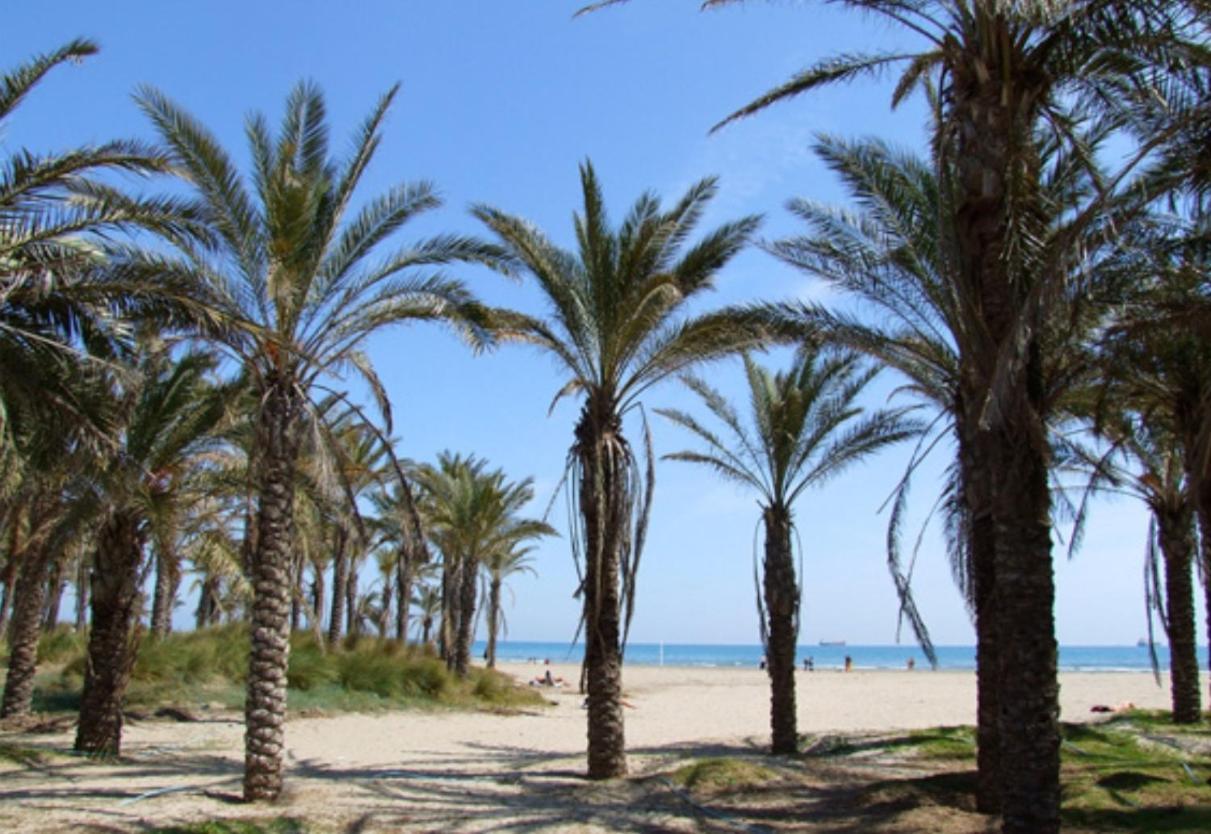 Nuevo En Calle Useras Castellón de la Plana Eksteriør billede